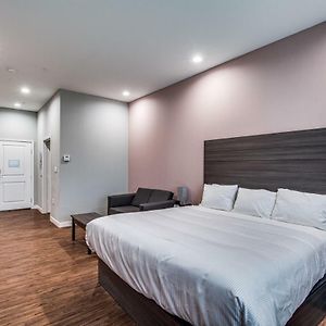 Deluxe King Studio